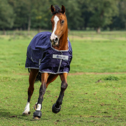 Couverture Bucas Atlantic Turnout 200g Bleu marine Couverture Bucas Atlantic Turnout 200g Bleu marine