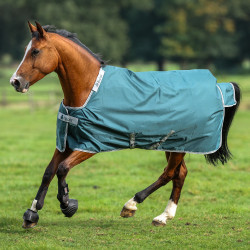 Bucas Atlantic Turnout 400g deken Groen Bucas Atlantic Turnout 400g deken Groen