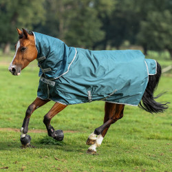 Bucas Atlantic Turnout 400g deken Groen Bucas Atlantic Turnout 400g deken Groen