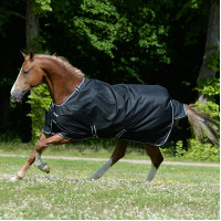 Bucas Trot Turnout 200g deken Zwart / wit Bucas Trot Turnout 200g deken Zwart / wit