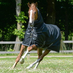 Bucas Trot Turnout 200g deken Zwart / wit Bucas Trot Turnout 200g deken Zwart / wit