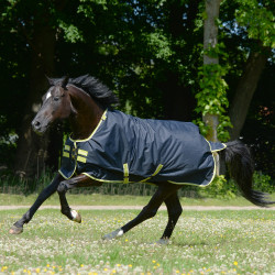 Bucas Oasis Turnout 200g deken met halsstuk Donkergrijs / limoengroen Bucas Oasis Turnout 200g deken met halsstuk Donkergrijs / limoengroen