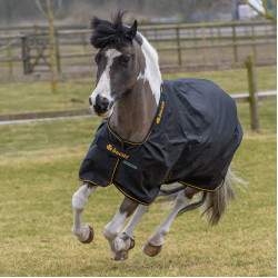 Couverture Bucas Irish Turnout Light 50g avec couvre-cou Noir / doré