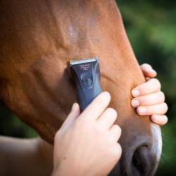 Tondeuse sans fil Wahl Adelar Pro Tondeuse sans fil Wahl Adelar Pro