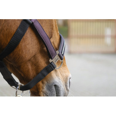 Licol nylon Equithème Domino Violet Licol nylon Equithème Domino Violet
