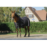 Glanzend overhemd Riding World Zwart