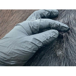 Lotion Animaderm Original Lotion Animaderm Original