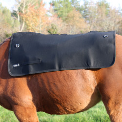 Chauffe dos Back on Track