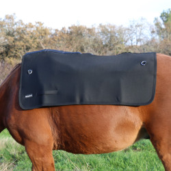 Chauffe dos Back on Track