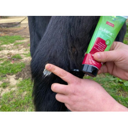 Régénérant Animaderm Cutene