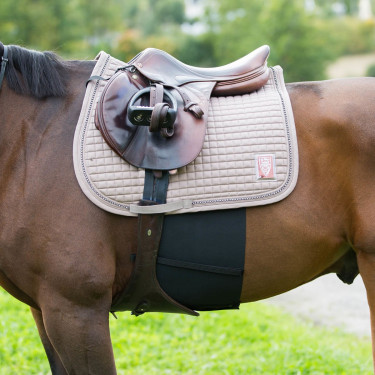 Bande de respect Horze pour Cheval et Poney