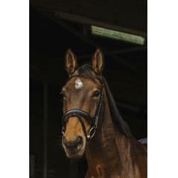 Bridon Norton Pro Donker