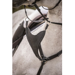 Martingaalriem Pénélope Bip Plain Elastisch Zwart