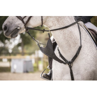 Flèche de martingale Pénélope Bip Plain Elastique Noir