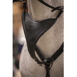 Flèche de martingale Pénélope Bip Plain Elastique Noir Flèche de martingale Pénélope Bip Plain Elastique Noir