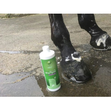 Shampoo Animaderm Tea Tree Shampoo Animaderm Tea Tree