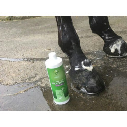 Shampooing Animaderm Tea Tree