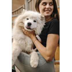 Pull-on Equithème Flora fond silicone Vert sauge Pull-on Equithème Flora fond silicone Vert sauge