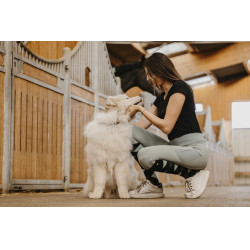 Pull-on Equithème Flora fond silicone Vert sauge Pull-on Equithème Flora fond silicone Vert sauge