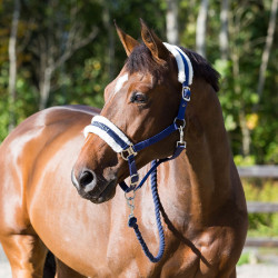 Halster Howard Crescendo Horze Halster Howard Crescendo Horze