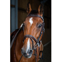 Montants Focus Dy'on Marron