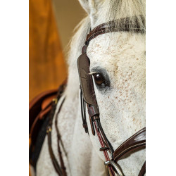 Montants Focus Dy'on Marron