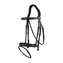 Bridon Muserolle Combinée Dy'on Noir