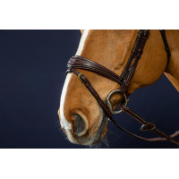 Bridon Combiné Anatomisch Dy'on D Collectie Bruin