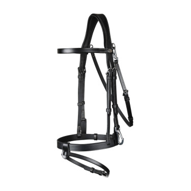 Bridon Cuir Plat Avec Mousquetons Dy'on Noir