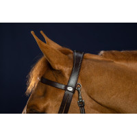 Bridon Cuir Plat Avec Mousquetons Dy'on Noir