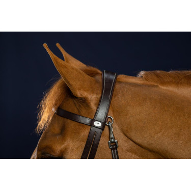 Plat Lederen Hulpteugel Met Musketons Working by Dy'on Bruin