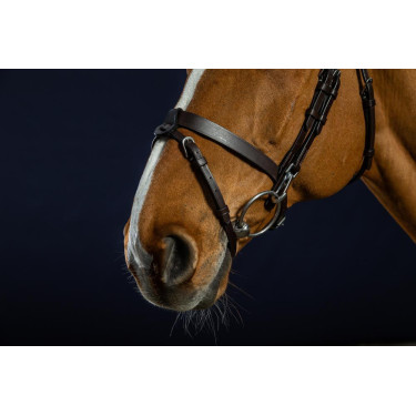Bridon Cuir Plat Avec Mousquetons Dy'on Marron