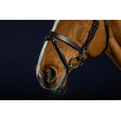 Plat Lederen Hulpteugel Met Musketons Working by Dy'on Bruin