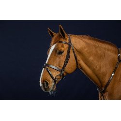 Bridon Cuir Plat Avec Mousquetons Dy'on Marron