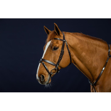 Bridon Cuir Plat Avec Mousquetons Dy'on Marron
