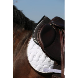 Amortisseur Anatomique Absorb Kentucky Noir Amortisseur Anatomique Absorb Kentucky Noir