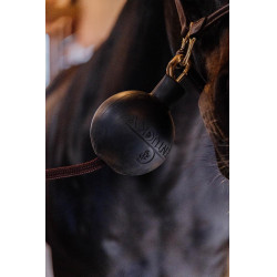 Balle protection d'attache Kentucky Noir