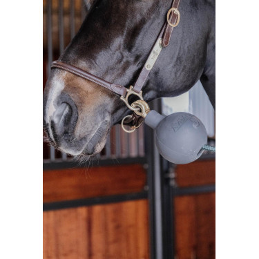 Balle protection d'attache Kentucky Balle protection d'attache Kentucky