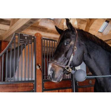 Balle protection d'attache Kentucky Balle protection d'attache Kentucky
