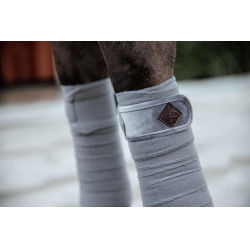 Bandes de polo Polar Fleece Basic Velvet Kentucky Gris