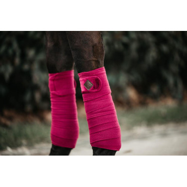 Bandes de polo Polar Fleece Velvet Kentucky Fuchsia Rose Bandes de polo Polar Fleece Velvet Kentucky Fuchsia Rose