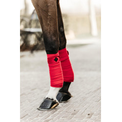 Bandes de polo Polar Fleece Velvet Kentucky Rouge Bandes de polo Polar Fleece Velvet Kentucky Rouge