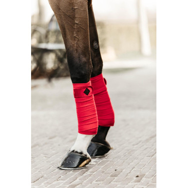 Bandes de polo Polar Fleece Velvet Kentucky Rouge Bandes de polo Polar Fleece Velvet Kentucky Rouge