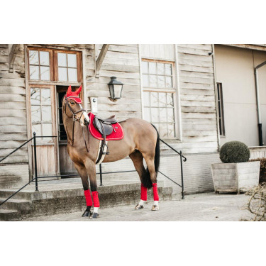 Bandes de polo Polar Fleece Velvet Kentucky Rouge Bandes de polo Polar Fleece Velvet Kentucky Rouge