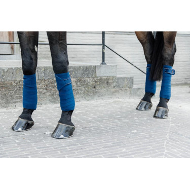 Bandes de polo Polar Fleece Velvet Pearls Kentucky