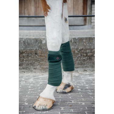Polar Fleece Velvet Parels Kentucky Polobanden Donkergroen