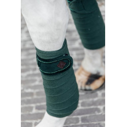 Bandes de polo Polar Fleece Velvet Pearls Kentucky Vert sapin Bandes de polo Polar Fleece Velvet Pearls Kentucky Vert sapin