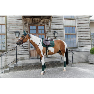 Polar Fleece Velvet Parels Kentucky Polobanden Donkergroen Polar Fleece Velvet Parels Kentucky Polobanden Donkergroen