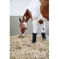 Bandes de repos Repellent Kentucky Noir Bandes de repos Repellent Kentucky Noir