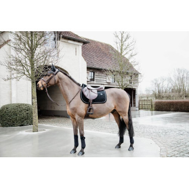 Bonnet Wellington Basic Velvet Kentucky Bonnet Wellington Basic Velvet Kentucky